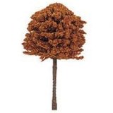 Scolaire Ltd Small Beech Trees Pk3