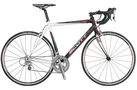 Speedster S20 CD 20 speed 2009 Road Bike