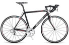 Speedster S20 CD 2008 Road Bike