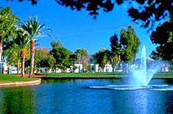 Orange Tree Golf Resort