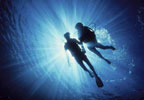 Scuba Diving Experience for Two in Norfolk