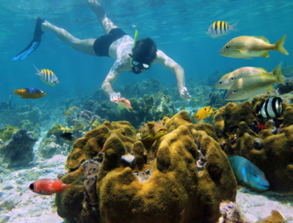 Scuba Diving in Cancun