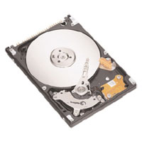 Seagate 100 GB Seagate 2&frac12; inch 5400rpm 8MB cache ATA100 ST9100823A