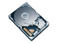 SEAGATE 300GB 10K.7 8MB SCSI U320 68 PIN