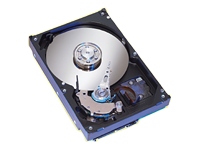 Seagate Barracuda 120Gb 8mb Cache 7200RPM HDD OEM