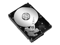 Seagate Barracuda 7200.10 - hard drive - 160 GB - ATA-100