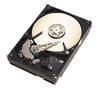 SEAGATE Barracuda 7200.7 - 120GB - 7200RPM - 8 MB - SATA (bulk version)