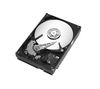 SEAGATE Barracuda 7200.8 - 250 GB - 7200 rpm - 8 MB