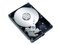 Seagate Barracuda 7200.9 - hard drive - 500 GB - SATA-300