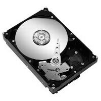 Seagate Barracuda 7200.9 160GB Hard Disk Drive