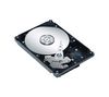 SEAGATE Barracuda 7200.9 - 400 GB - 7200 rpm - 16 MB - SATA-II (bulk version)