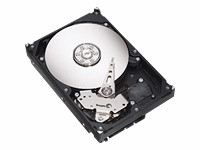 Seagate Barracuda Hard drive - 300GB - 8 MB Cache