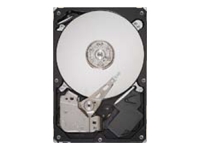 SEAGATE DB35.4 Series ST3250310CS