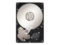 DB35 Series 7200.3 ST3250820ACE - hard drive - 250 G