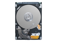 Seagate EE25.2 Series ST980818AM - hard drive - 80 GB - IDE/ATA