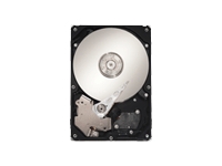 SEAGATE Maxtor DiamondMax 23 - hard drive - 1 TB - SATA-300