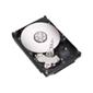 Seagate ST3400832NS