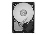 SEAGATE SV35.3 Series ST31000340SV