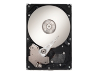 Seagate SV35 Series 7200.2 ST3750640AV - hard drive - 750 GB - ATA-100