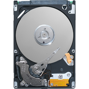 Seagate Technology Seagate Momentus ST95005620AS 500 GB Internal