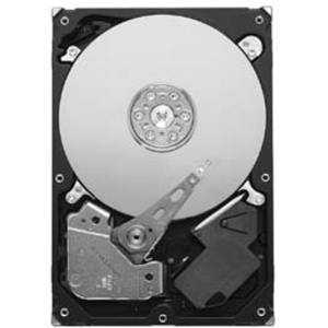 Seagate Technology Seagate Pipeline HD ST31000322CS 1 TB Internal