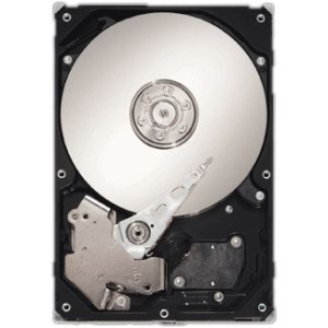 Seagate SV35.5 ST3500411SV 500 GB Internal Hard