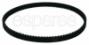 Primary Drive Belt