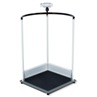 645 Multifunctional Hand Rail Scale