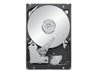 SEGA Seagate Barracuda XT ST33000651AS - hard drive -