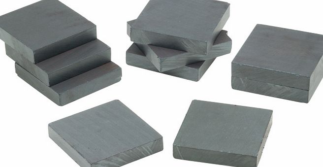 Shaw Magnets Ceramic Square Magnets 19x19x5mm - Pack of 20