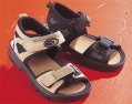 SHOE CO adventure sandal