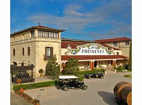 Sitges and Freixenets Cava Wine Cellars - Child