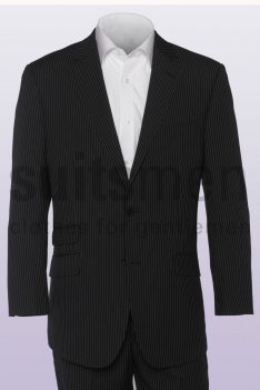 Navy Stripe 2 Button Suit