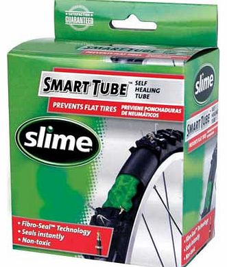 Smart Bike 16 x 1.75-2.125 Tube - Schrader