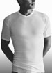 Basic V-neck T-shirt