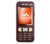 SONY ERICSSON W890i - brown