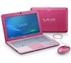 VAIO VPC-W12S1E/P Netbook