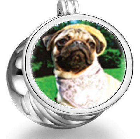 Soufeelonline Golfing Pug Cylindrical Photo Charm Beads Fit Pandora Chamilia Biagi beads charms fit pandora Bracelet