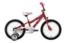 Specialized Hotrock 16 2008 Kids Bike