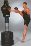 Fit Box Boxing Dummy