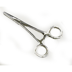 Steel Straight Forceps - 10 inch