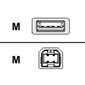 3` USB Cable USB A/B