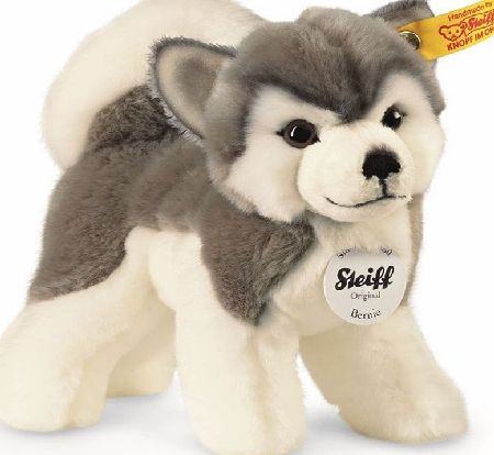 Steiff Bernie Husky 17cm