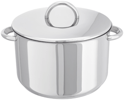 Stellar Professional 22cm Stockpot  5.20l