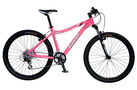 Skye 2008 Womens Mountain Bike