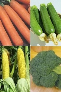 Vegetable Garden Collection