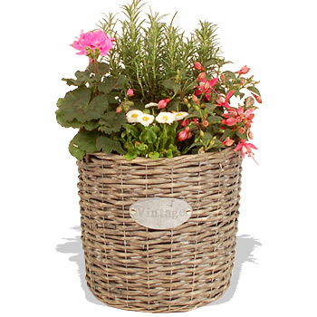 Summer Vintage Planter - flowers