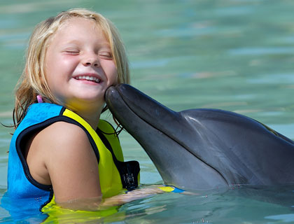 Swimming With Dolphins at Atlantis The Palm Deep Water Dolphin Adventure