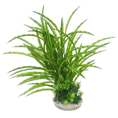 Atoll Maxi Plastic Artificial Plant Ornament by Sydeco