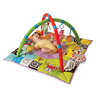 3 in 1 Curiosity Gym Play Mat